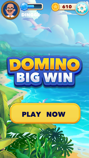 Domino Big Win VARY screenshots 1