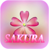 Sakura launcher XL icon