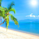 Beach Live Wallpaper HD 🏖️ Tropical Backgrounds icon