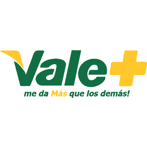 Vale+ logo
