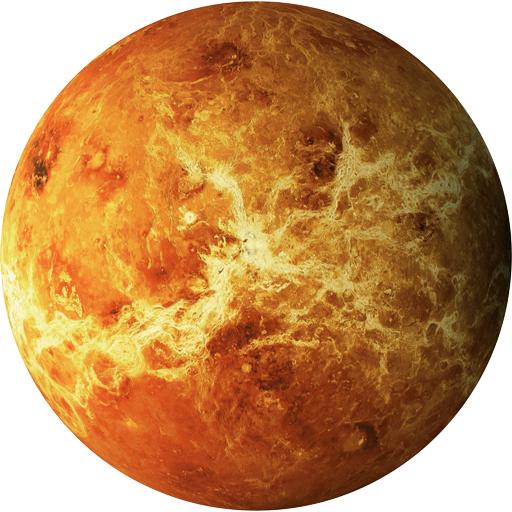 Venus Infra logo