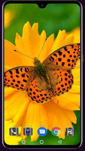 Butterfly Wallpaper 4K Latest 1.013 APK screenshots 5