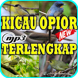 Kicau Burung Opior Terlengkap Mp3 icon