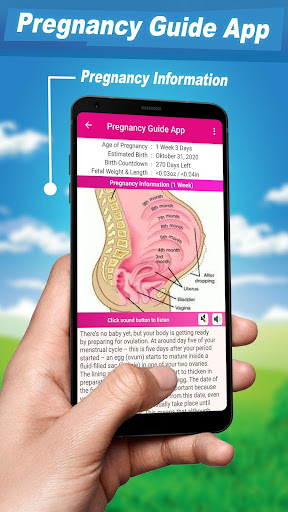 Pregnancy Guide App Pregnancy Guide App 5.0 Screenshots 2