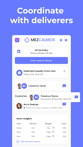 Mezlaundry Screen 3
