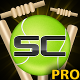 Street Cricket Pro icon
