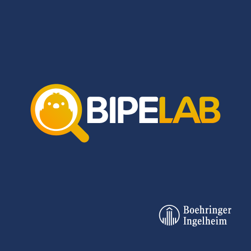 BIPE LAB