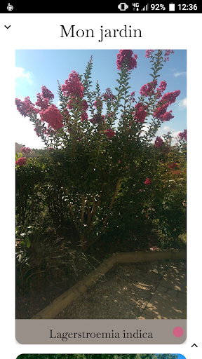 Mon Jardin Screen 3