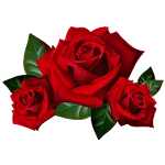 Cover Image of Download Roses Stickers For Whatsapp - WAStickerApps 1.0 APK