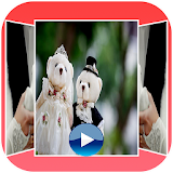 Wedding Slideshow Maker FREE icon