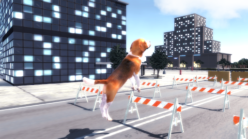 Beagle Dog Simulator 3D 16