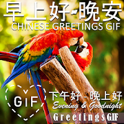 Good Morning Afternoon Goodnight Gifs in Chinese