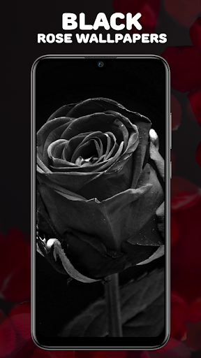 Android application Rosely Wallpaper: Black & Gold screenshort