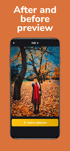 LG Presets For Lightroom
