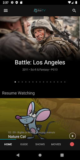 Screenshot of Loveland PulseTV