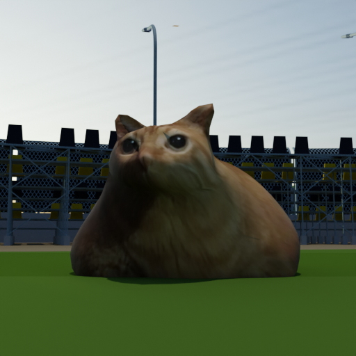 Pablo Cat Race Game logo