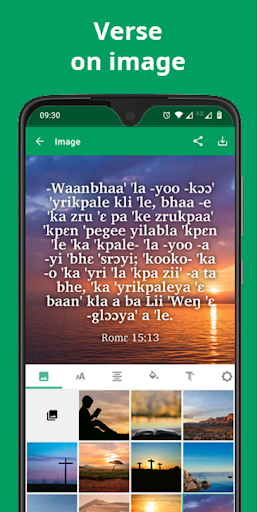 Bible in Mwan - NT with audio Screen 3