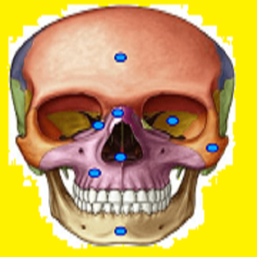 Jogando Anatomia (Completo) - Apps on Google Play