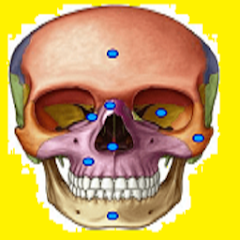 Jogando Anatomia (Completo) icon