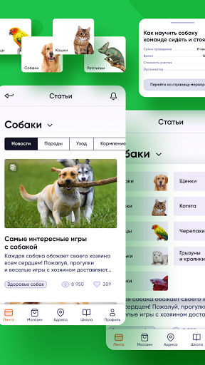 "Хвост Ньюс" Screen 2
