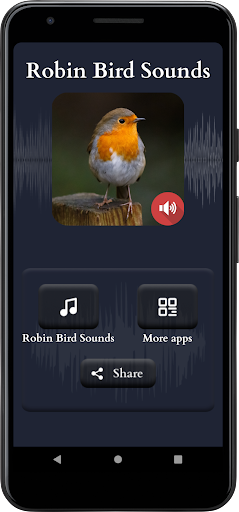 Robin Sounds Screen 2