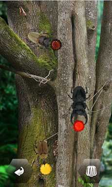 世界の昆虫採集ライト版のおすすめ画像1