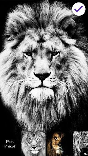 Lion Bravery PIN Lock