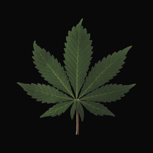 weed420 logo