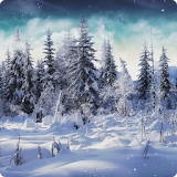 Winter Live Wallpaper HD icon