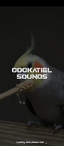cockatiel sounds