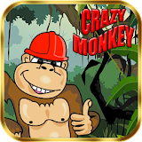 Crazy Monkey Deluxe icon