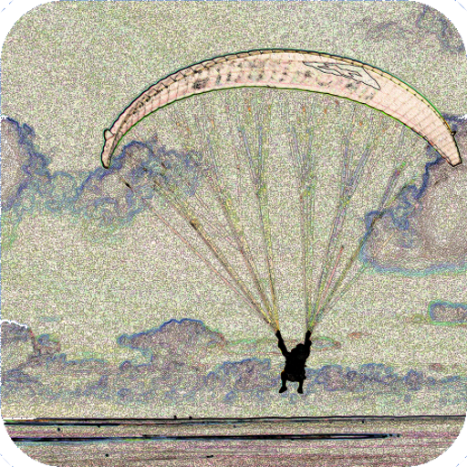 Para Flightlog logo