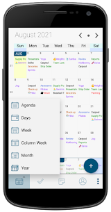 Informant 5 – Calendar (PREMIUM) 5.01.34 Apk 3