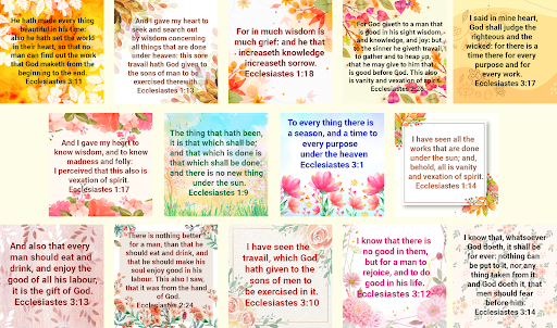Android application Bible Ecclesiastes screenshort