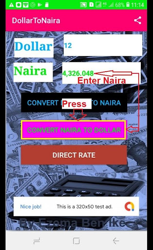 Dollar To Naira Converter Screen 3