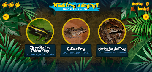Singing Frogs Screen 2
