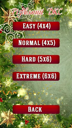DKC Christmas - Screenshot 4