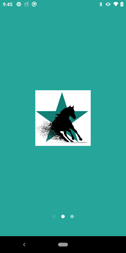 Barrel Racing Horses