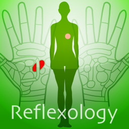 Icon image Hand Chart  / for Reflexology
