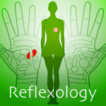 Hand Chart  / for Reflexology Apk