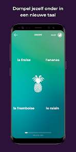 Screenshotafbeelding