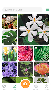 NatureID: Identifiez les plantes, les fleurs, les arbres et les feuilles
