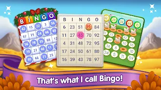 Game screenshot Bingo Card Klondike Adventures mod apk