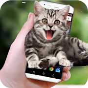 Top 40 Productivity Apps Like Funny Cat Walks On Screen - Cute Animation - Best Alternatives