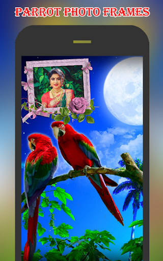 Parrot Photo Frames