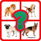 Guess the dog breed icon