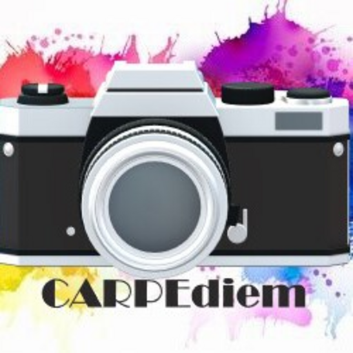CARPEdiem logo