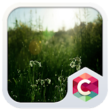 CLOUDY NATURE C LAUNCHER THEME icon
