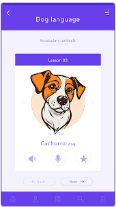 Leash — Puppy and Dog Training