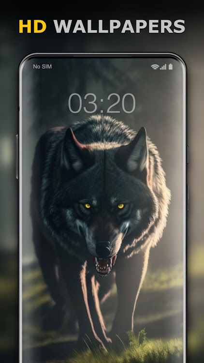 Wolf Wallpaper HD: Backgrounds - 20.7 - (Android)